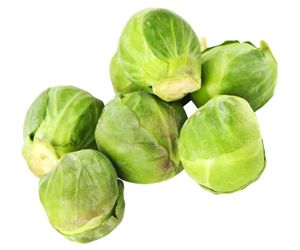 can dog eat Brussels sprouts