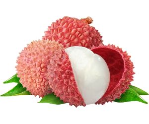 Can Dog Eat Lychee