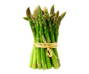can dog eat asparagus