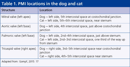 PMI Locations in the dog and cat